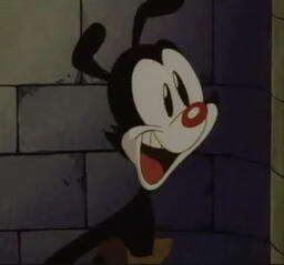 Yakko
